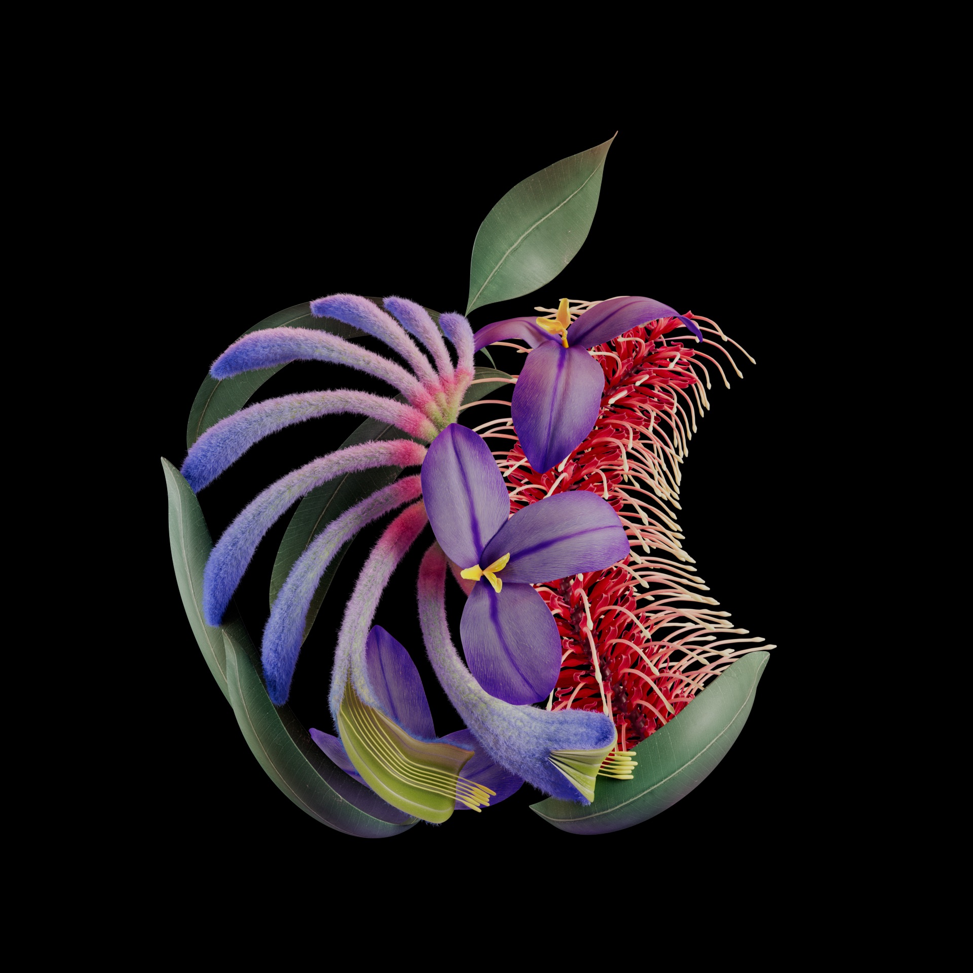Apple Flora