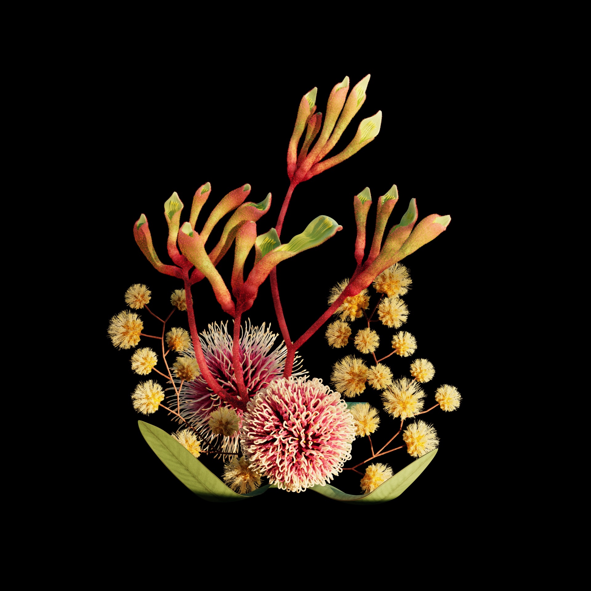 Apple Flora