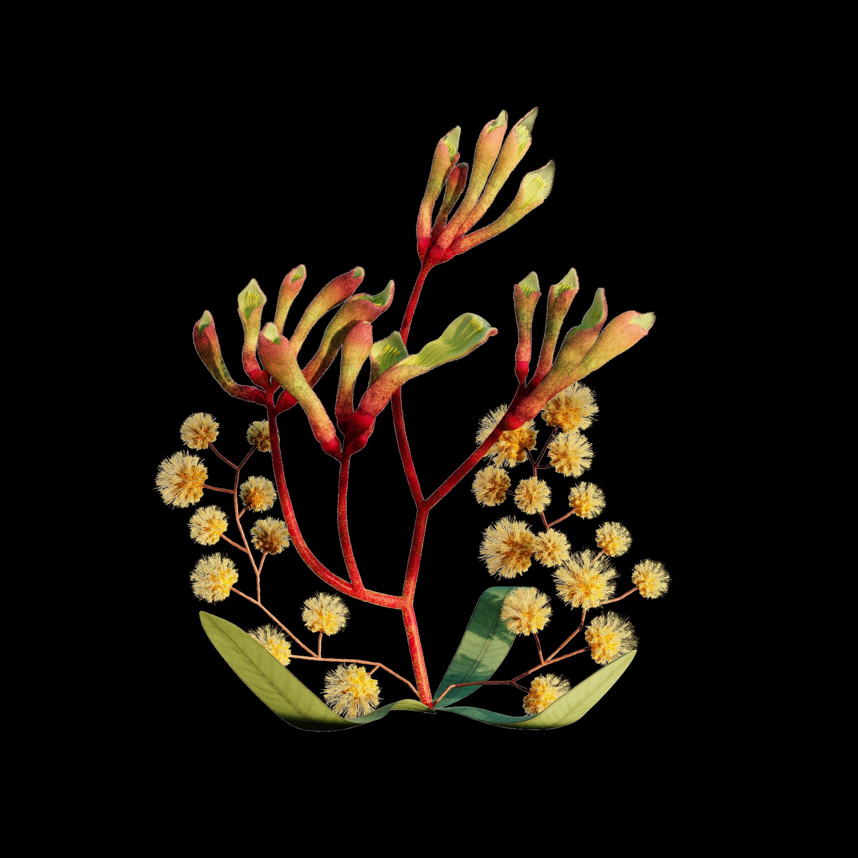 Apple Flora